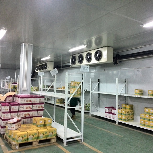 Gran Almacén de Almacenamiento en Frío para Frutas