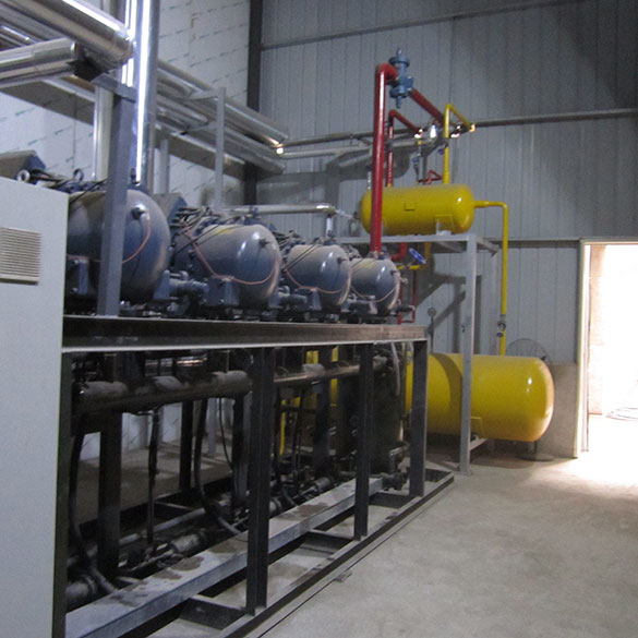 Gran Almacén de Almacenamiento en Frío para Productos Agrícolas